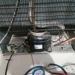 امید امانی کلیشمی