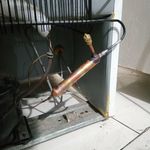 امید امانی کلیشمی