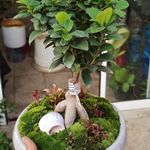 گلسرای بهشت