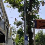 موسسه خیریه گلستان علی (ع)