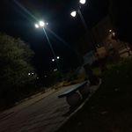 پارک شهید استویی