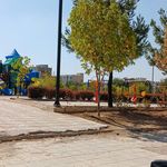پارک شهید استویی