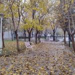 پارک خطی ثامن