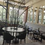 کافه شاپ درخت