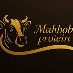 محبوب پروتئین