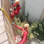 حامد فرخ پور