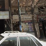 گیاهان دارویی شلیرا