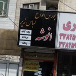 تاتی
