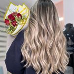 رنگ و لایت سلیمانی