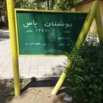 بوستان یاس