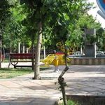 میدان 22