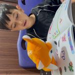 مرکز تخصصی زبان ملل