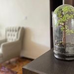 دکتر روانشناس فریدخت آصف کیا