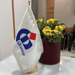بیمه دی