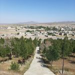 بوستان شقایق