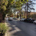 دکتر شاهرخ جهان بینی