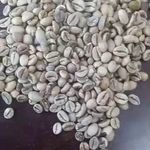 فروش عمده قهوه موسی زاده