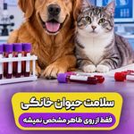 کلینیک دامپزشکی دکتر سابیزا