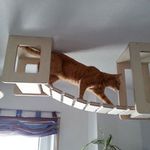 نجاری مهدی صادقی