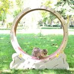 نجاری مهدی صادقی