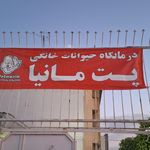 کلینیک تخصص دامپزشکی غزال
