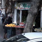 باغ شهریار