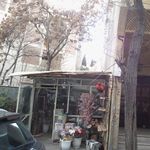 گلفروشی پدرام