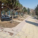 بوستان بعثت