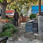 سبزی تازه فرهادی