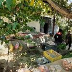 سبزی تازه فرهادی