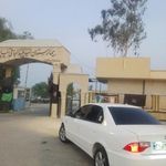 بیمارستان نیاپور