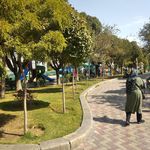 سرویس بهداشتی بوستان شقایق