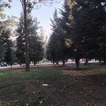 بوستان بعثت