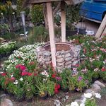 بازار گل شهید فکوری