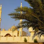 مسجد النبی شهر سوزا