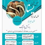قالیشویی یسنا
