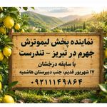 لیمو فروشی تندرست