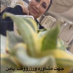 خدمات تخصصی آرایش دائم و ریموو فرشته حمیدی