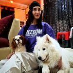 تربیت سگ ها آتوسا همتی