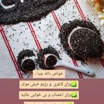 ادویه جات طعم ناب