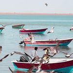خلیج گواتر