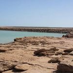 خلیج گواتر