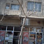 سازمان میوه و تره بار و فرآورده های کشاورزی شهرداری تهران