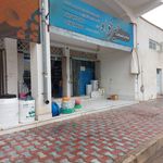 لوله و اتصالات عاطفی.