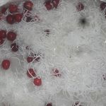 ویتامینه سندباد