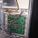 حامد قربانی بیرگانی