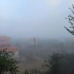 اقامتگاه جنگلی دالیخانی