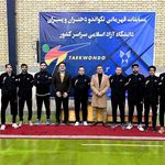 باشگاه تکواندو عمادی