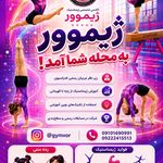 آکادمی ژیمناستیک ژیموور