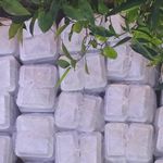 موسسه خیریه فاطمه زهرا